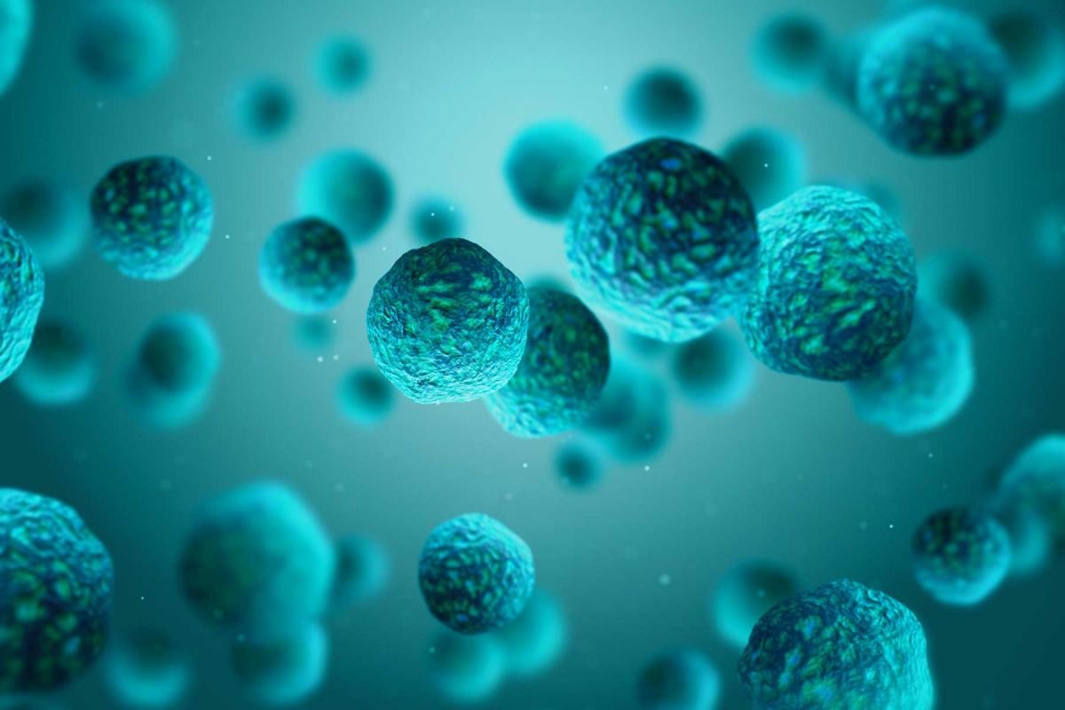 纽卡斯尔大学生物医学工程硕士怎么样？开设了哪些课程？