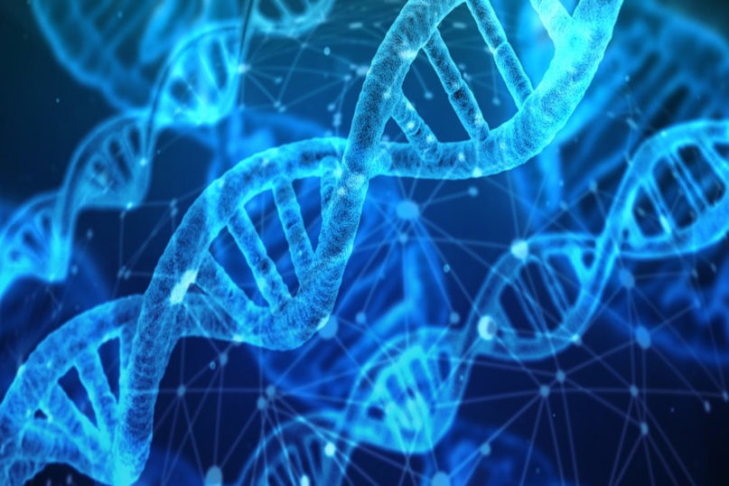 科学和密集数据计算硕士Essay不会写怎么办？