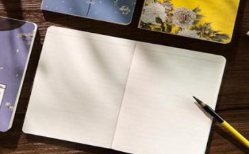 美国Essay 辅导