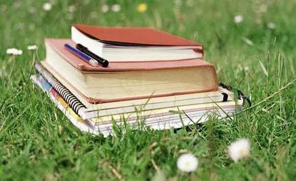 Essay 辅导范文-information resource management