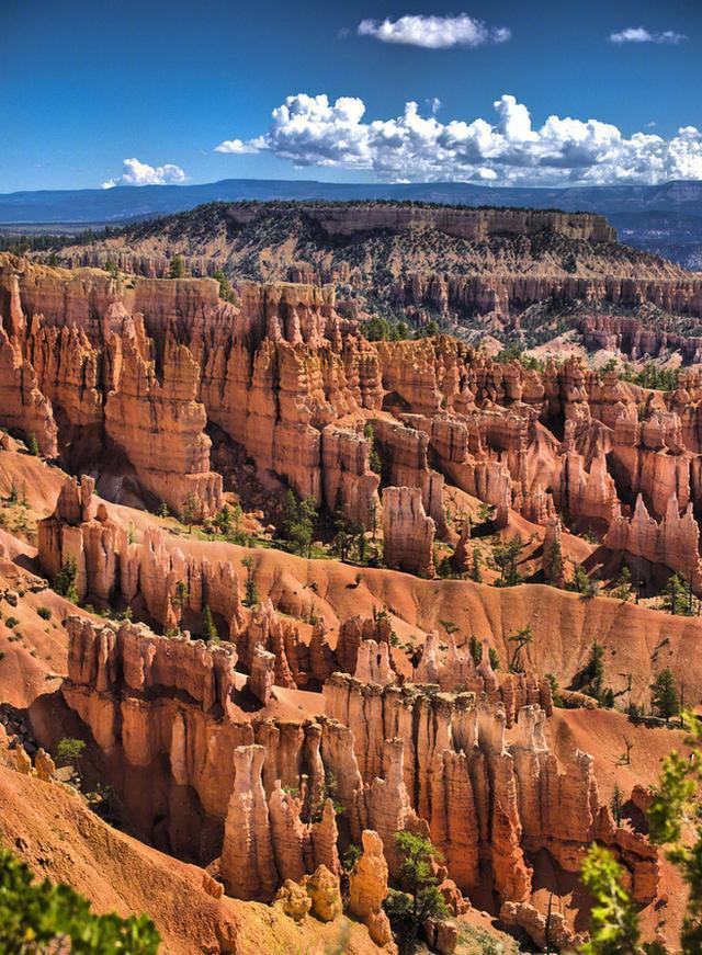 美国留学生作业，金融学起来也很轻松。