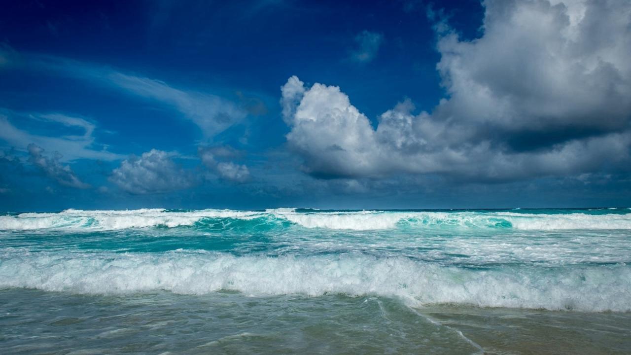 美国留学生学好这些再也不担心概率考试会挂科