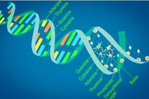 澳洲大学生物专业课程预习