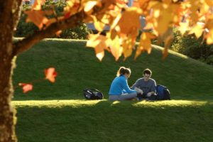 澳洲本科市场营销辅导：澳洲市场营销最全攻略