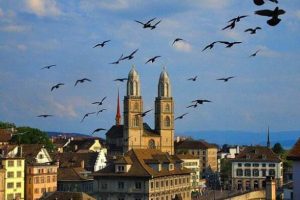 澳洲圣母大学本科课程辅导：澳洲圣母大学的本