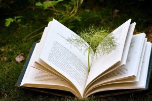 澳洲留学PTE考试靠谱吗？这篇为你全方位解答