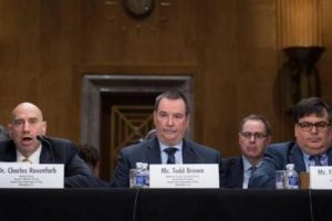 英国Essay听证会详解？要注意什么?