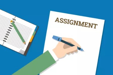 assignment