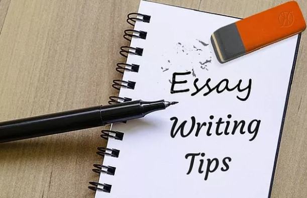 Critique essay