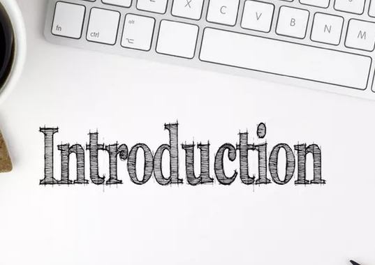 Introduction如何写
