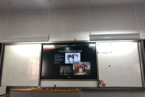 Reflection Paper如何写？