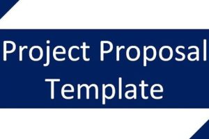 商科项目建议提案(Project Proposal)如何写?