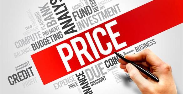 定价策略(Pricing Strategy)如何写?