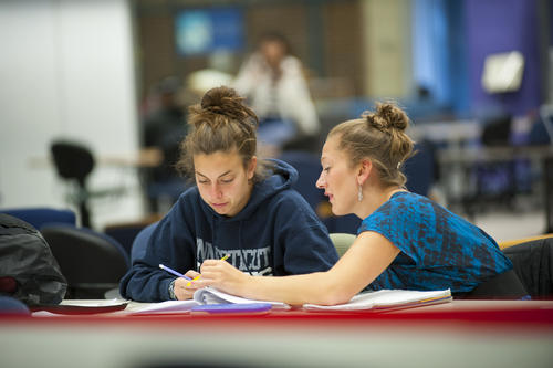 Research Essay