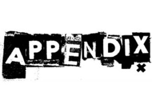 留学生Appendix(附录)如何写？