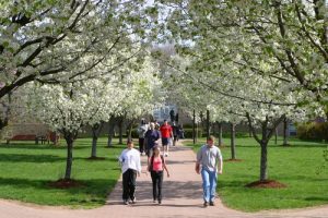 美国大学Final挂科率太恐怖！不幸挂科了该怎么办？