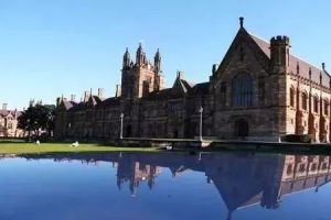 澳洲本科Business专业一对一辅导