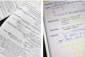 澳洲入学笔试预习