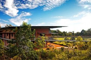 澳大利亚纽卡斯尔大学论文写作补习辅导课程