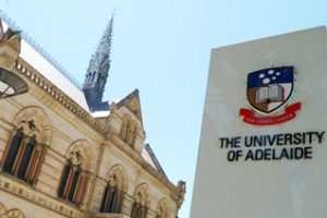 阿德雷德大学论文写作补习辅导课程