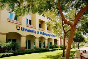 伍伦贡大学论文写作补习辅导课程