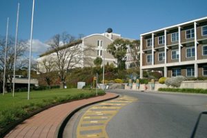 弗林德斯大学论文写作补习辅导课程