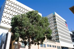 斯威本科技大学论文写作补习辅导课程