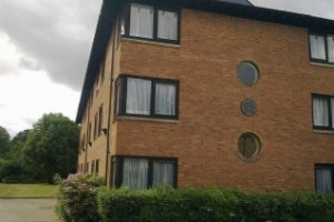 白金汉大学Essay辅导润色修改课程