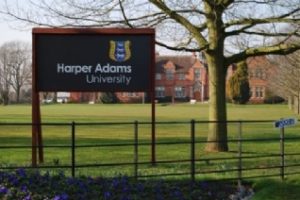 哈珀亚当斯大学Essay辅导润色修改课程