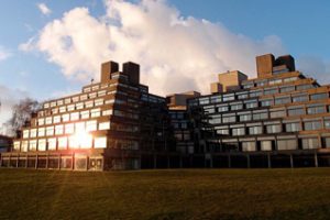 东安格利亚大学Essay辅导润色修改课程