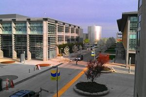 加州大学美熹德分校论文补习辅导