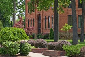 特莱恩大学论文补习辅导