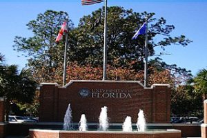 佛罗里达大学论文补习辅导