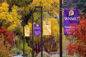 西新墨西哥大学论文补习辅导