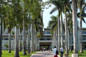 迈阿密大学论文补习辅导