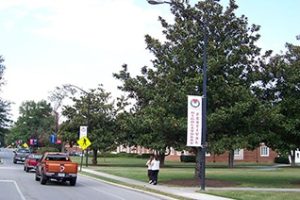 瑞德福大学论文补习辅导