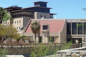 德克萨斯大学埃尔帕索分校论文补习辅导