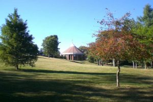 东田纳西州立大学论文补习辅导