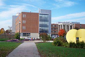 威得恩大学论文补习辅导