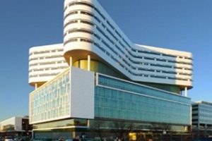 拉什大学论文补习辅导