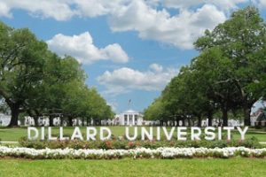 迪拉德大学论文补习辅导