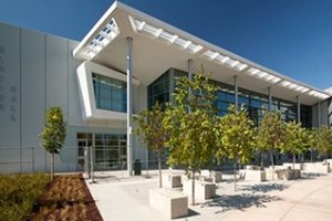 羚羊谷大学论文补习辅导