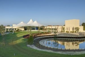 埃克德学院论文补习辅导