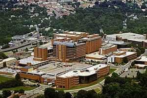 维克森林大学论文补习辅导