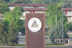 新墨西哥州立大学论文补习辅导