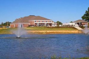 奥本大学论文补习辅导