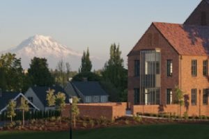 菩及海湾大学论文补习辅导