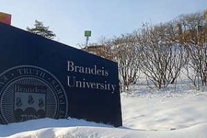 布兰迪斯大学论文补习辅导