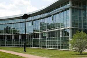 路易斯大学论文补习辅导