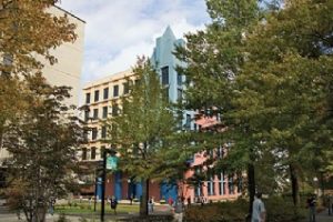 新泽西城市大学论文补习辅导